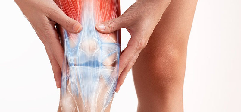 Tendonitis Knee