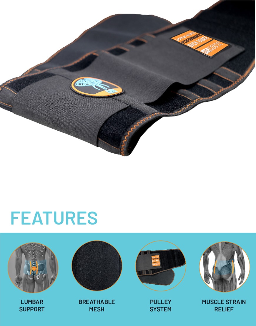 Lumbar Brace-Everyday Medical